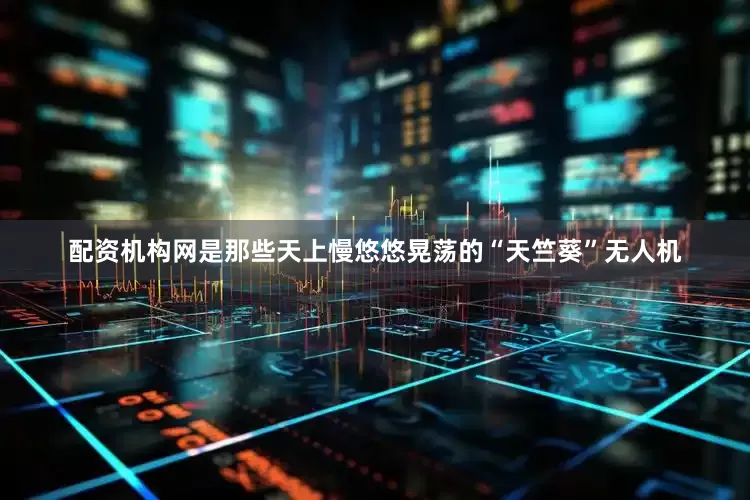 配资机构网是那些天上慢悠悠晃荡的“天竺葵”无人机
