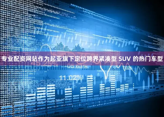 专业配资网站作为起亚旗下定位跨界紧凑型 SUV 的热门车型