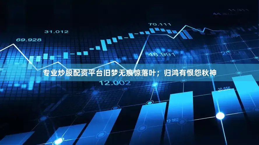 专业炒股配资平台旧梦无痕惊落叶；归鸿有恨怨秋神